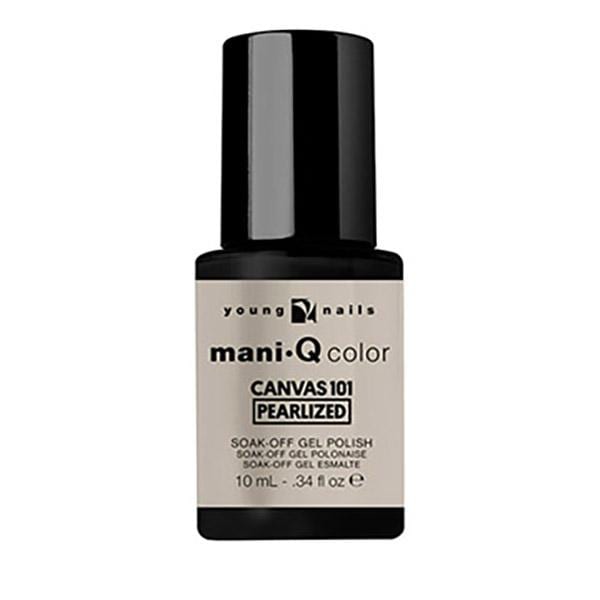 Canvas 101