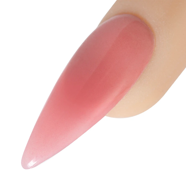 cover-flamingo.png