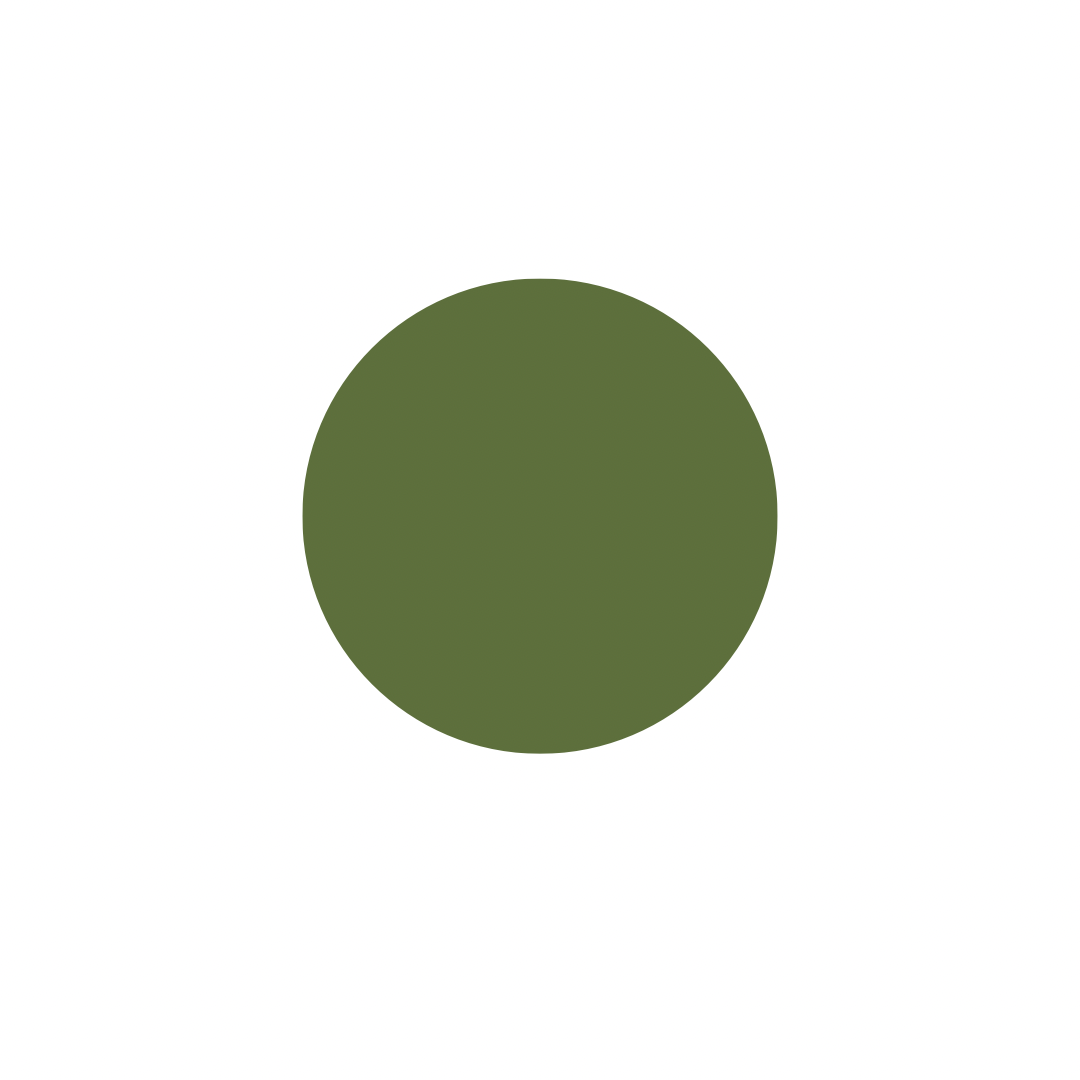 image_152af6b8-6ad3-4552-8007-6a97e9dae81f.png