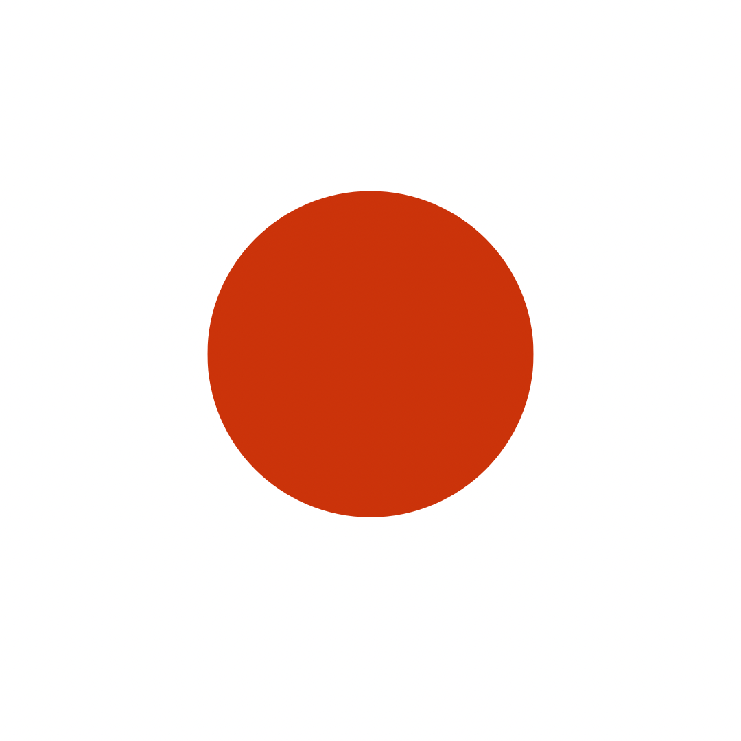 image_b08e93cb-c91d-4e49-86ec-541273a34f2e.png