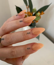 Cover Peach Acrylic Powder